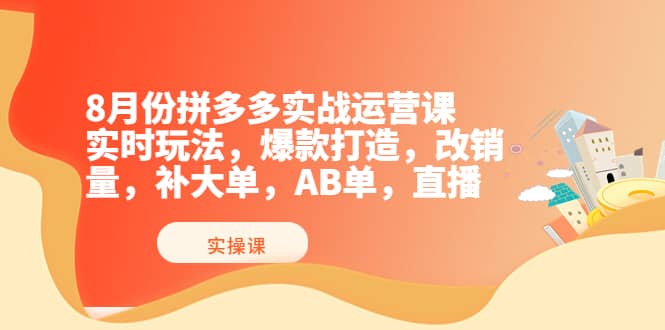 8月份拼多多实战运营课，实时玩法，爆款打造，改销量，补大单，AB单，直播-飞鱼网创