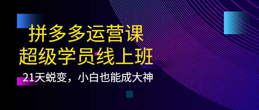 拼多多运营课：超级学员线上班，21天蜕变，小白也能成大神-飞鱼网创