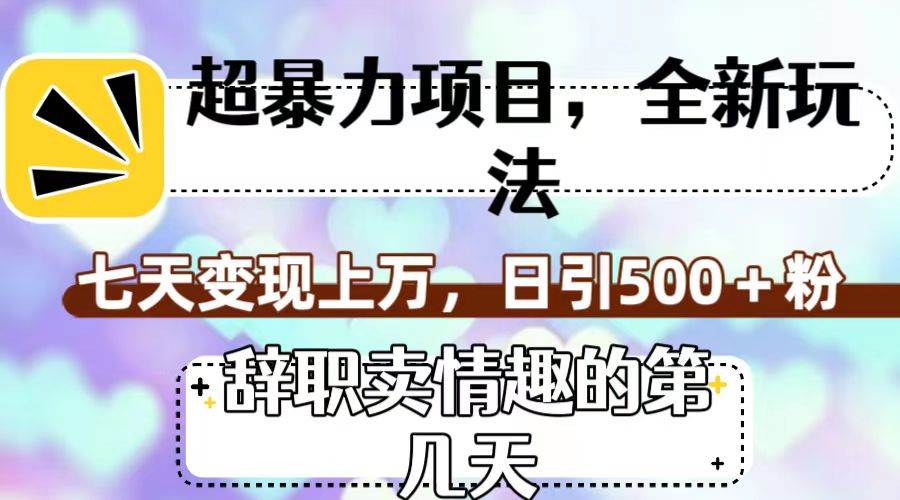 超暴利项目，全新玩法（辞职卖情趣的第几天），七天变现上万，日引500+粉-飞鱼网创