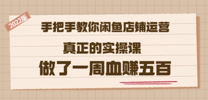 2022版《手把手教你闲鱼店铺运营》真正的实操课做了一周血赚五百(16节课)-飞鱼网创