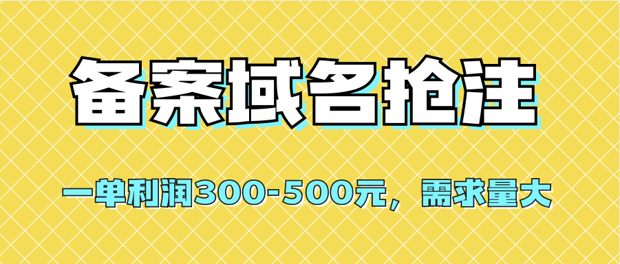 【全网首发】备案域名抢注，一单利润300-500元，需求量大-飞鱼网创