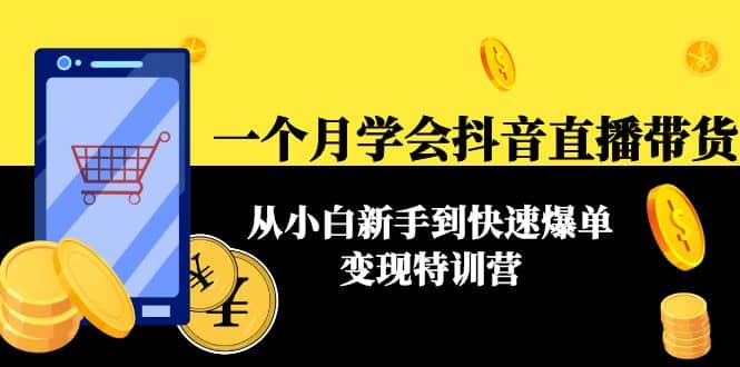 一个月学会抖音直播带货：从小白新手到快速爆单变现特训营(63节课)-飞鱼网创