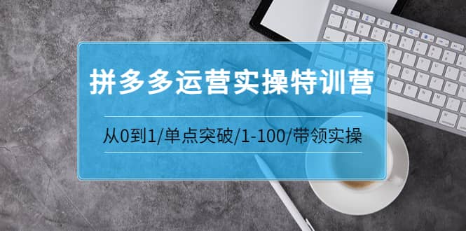 拼多多运营实操特训营：从0到1/单点突破/1-100/带领实操 价值2980元-飞鱼网创