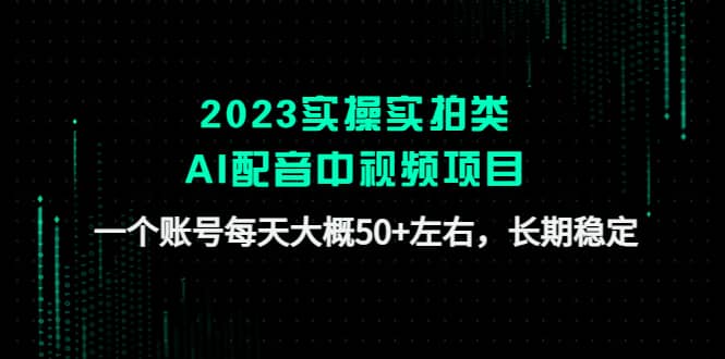 2023实操实拍类AI配音中视频项目，一个账号每天大概50+左右，长期稳定-飞鱼网创