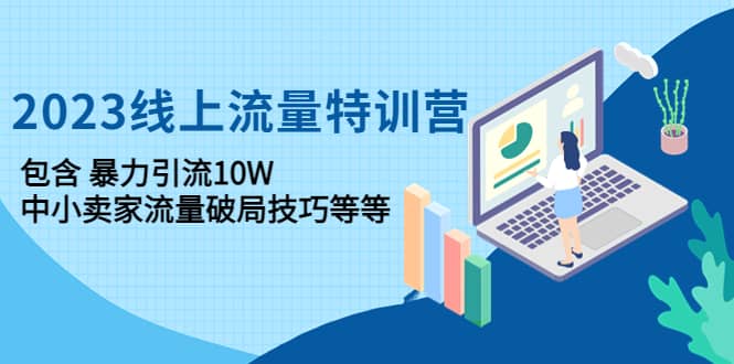 2023线上流量特训营：中小卖家流量破局技巧等等-飞鱼网创