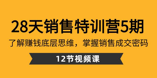 28天·销售特训营5期：了解赚钱底层思维，掌握销售成交密码（12节课）-飞鱼网创