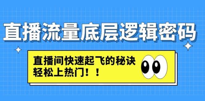 直播流量底层逻辑密码：直播间快速起飞的秘诀，轻松上热门-飞鱼网创