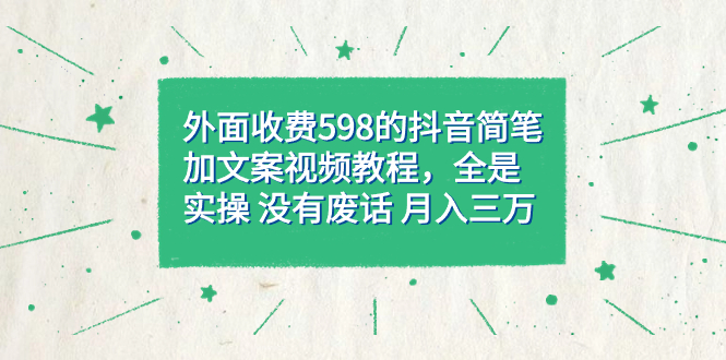 外面收费598抖音简笔加文案教程，全是实操 没有废话 月入三万（教程+资料）-飞鱼网创