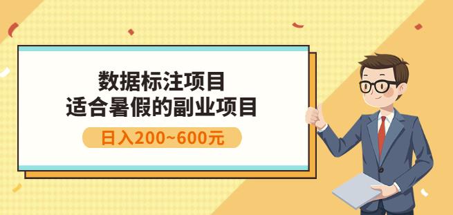 副业赚钱：人工智能数据标注项目，简单易上手，小白也能日入200+-飞鱼网创