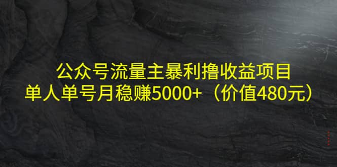 公众号流量主暴利撸收益项目，单人单号月稳赚5000+（价值480元）-飞鱼网创