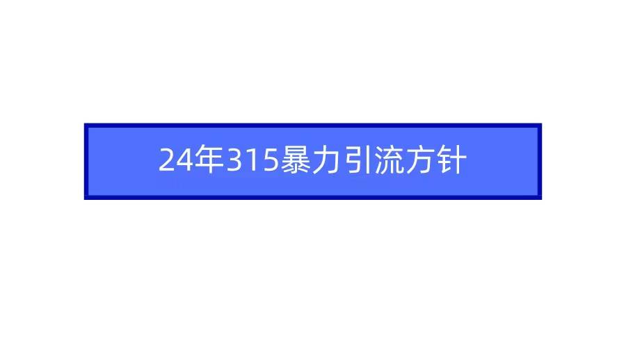 2024年315暴力引流方针-飞鱼网创