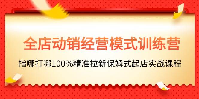 全店动销-经营模式训练营，指哪打哪100%精准拉新保姆式起店实战课程-飞鱼网创