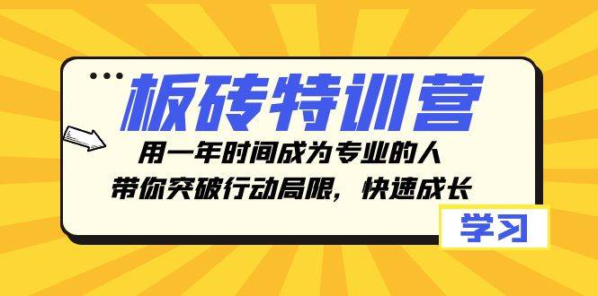 板砖特训营，用一年时间成为专业的人，带你突破行动局限，快速成长-飞鱼网创