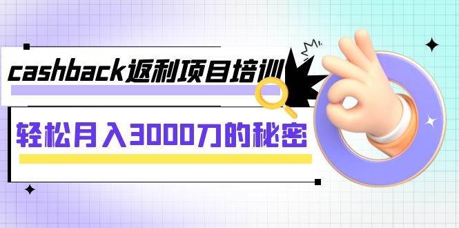 cashback返利项目培训：轻松月入3000刀的秘密（8节课）-飞鱼网创