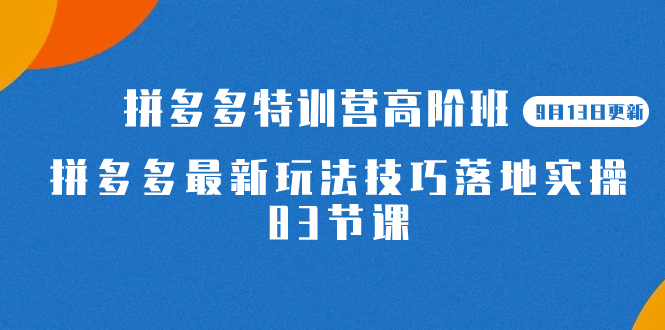 2023拼多多·特训营高阶班【9月13日更新】拼多多最新玩法技巧落地实操-83节-飞鱼网创