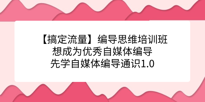 【搞定流量】编导思维培训班，想成为优秀自媒体编导先学自媒体编导通识1.0-飞鱼网创