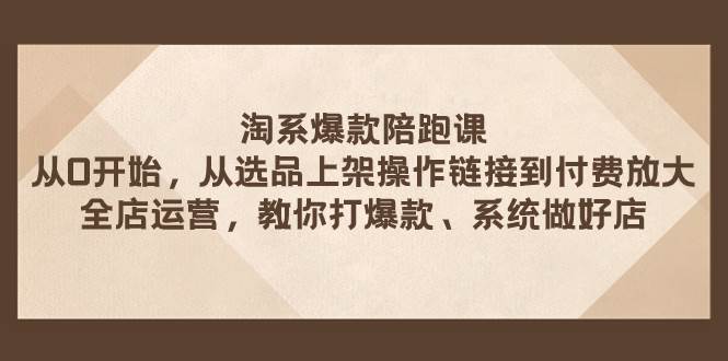 淘系爆款陪跑课 从选品上架操作链接到付费放大 全店运营 打爆款 系统做好店-飞鱼网创