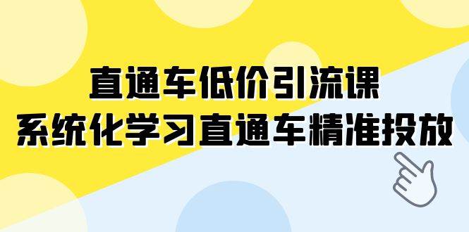 直通车-低价引流课，系统化学习直通车精准投放（14节课）-飞鱼网创