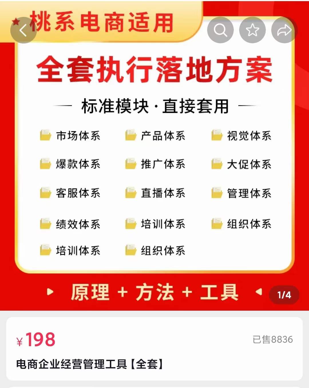 外面卖198·电商企业经营管理工具：全套执行落地方案 标准模块·直接套用-飞鱼网创