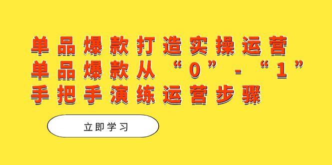 单品爆款打造实操运营，单品爆款从“0”-“1”手把手演练运营步骤-飞鱼网创