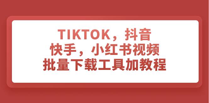 TIKTOK，抖音，快手，小红书视频批量下载工具加教程-飞鱼网创