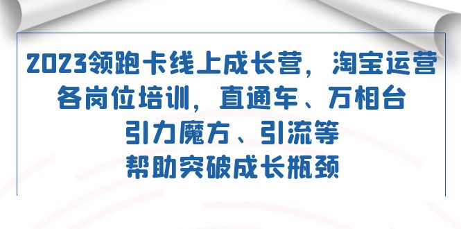 2023领跑·卡 线上成长营 淘宝运营各岗位培训 直通车 万相台 引力魔方 引流-飞鱼网创