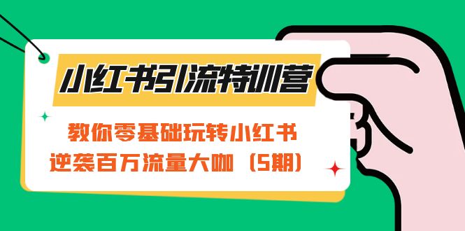 小红书引流特训营-第5期：教你零基础玩转小红书，逆袭百万流量大咖-飞鱼网创