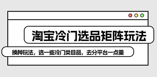 淘宝冷门选品矩阵玩法：换种玩法，选一些冷门类目品，去分平台一点羹-飞鱼网创