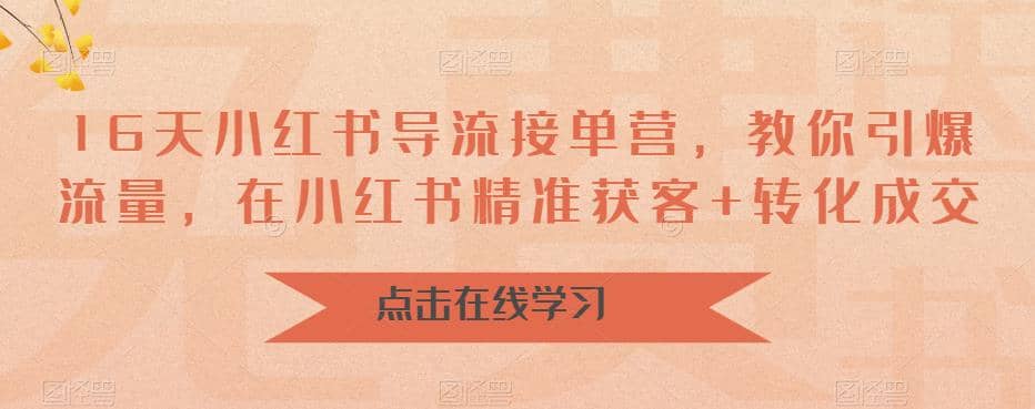 16天-小红书 导流接单营，教你引爆流量，在小红书精准获客+转化成交-飞鱼网创