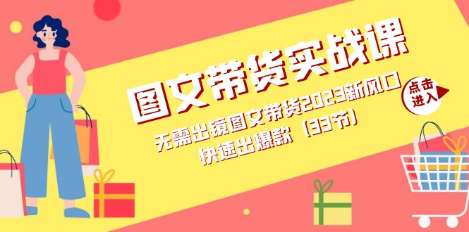 图文带货实战课：无需出镜图文带货2023新风口，快速出爆款（33节）-飞鱼网创