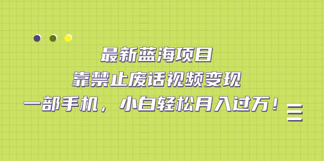 最新蓝海项目，靠禁止废话视频变现，一部手机，小白轻松月入过万！-飞鱼网创