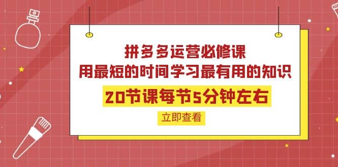 拼多多运营必修课：20节课每节5分钟左右，用最短的时间学习最有用的知识-飞鱼网创