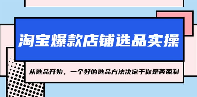 淘宝爆款店铺选品实操，2023从选品开始，一个好的选品方法决定于你是否盈利-飞鱼网创