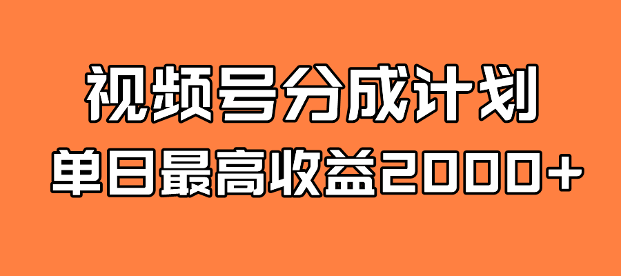 全新蓝海 视频号掘金计划 日入2000+-飞鱼网创