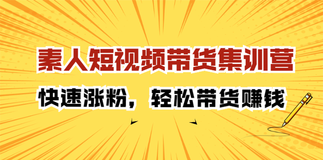 素人短视频带货集训营：快速涨粉，轻松带货赚钱-飞鱼网创