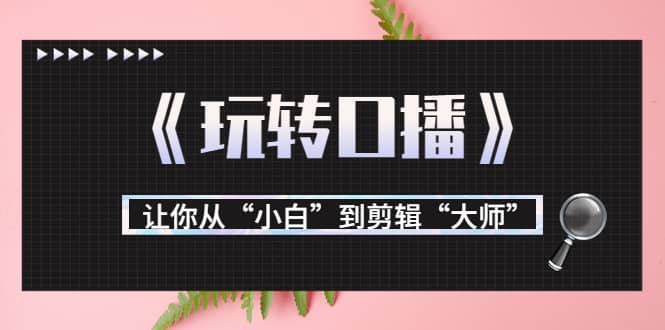 月营业额700万+大佬教您《玩转口播》让你从“小白”到剪辑“大师”-飞鱼网创