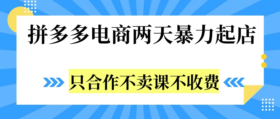 拼多多两天暴力起店，只合作不卖课不收费-飞鱼网创