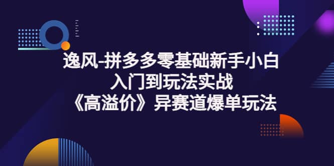 拼多多零基础新手小白入门到玩法实战《高溢价》异赛道爆单玩法实操课-飞鱼网创