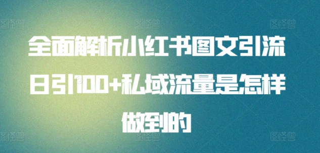 全面解析小红书图文引流日引100私域流量是怎样做到的-飞鱼网创