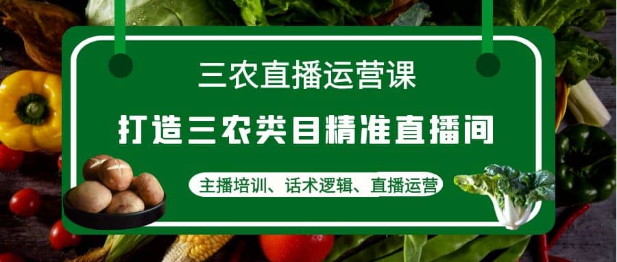 三农直播运营课：打造三农类目精准直播间，主播培训、话术逻辑、直播运营-飞鱼网创