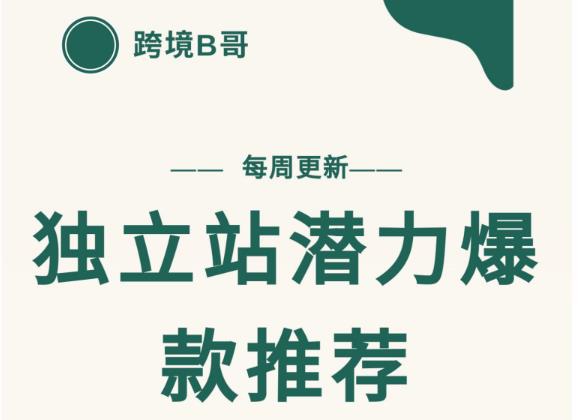 【跨境B哥】独立站潜力爆款选品推荐，测款出单率高达百分之80（每周更新）-飞鱼网创