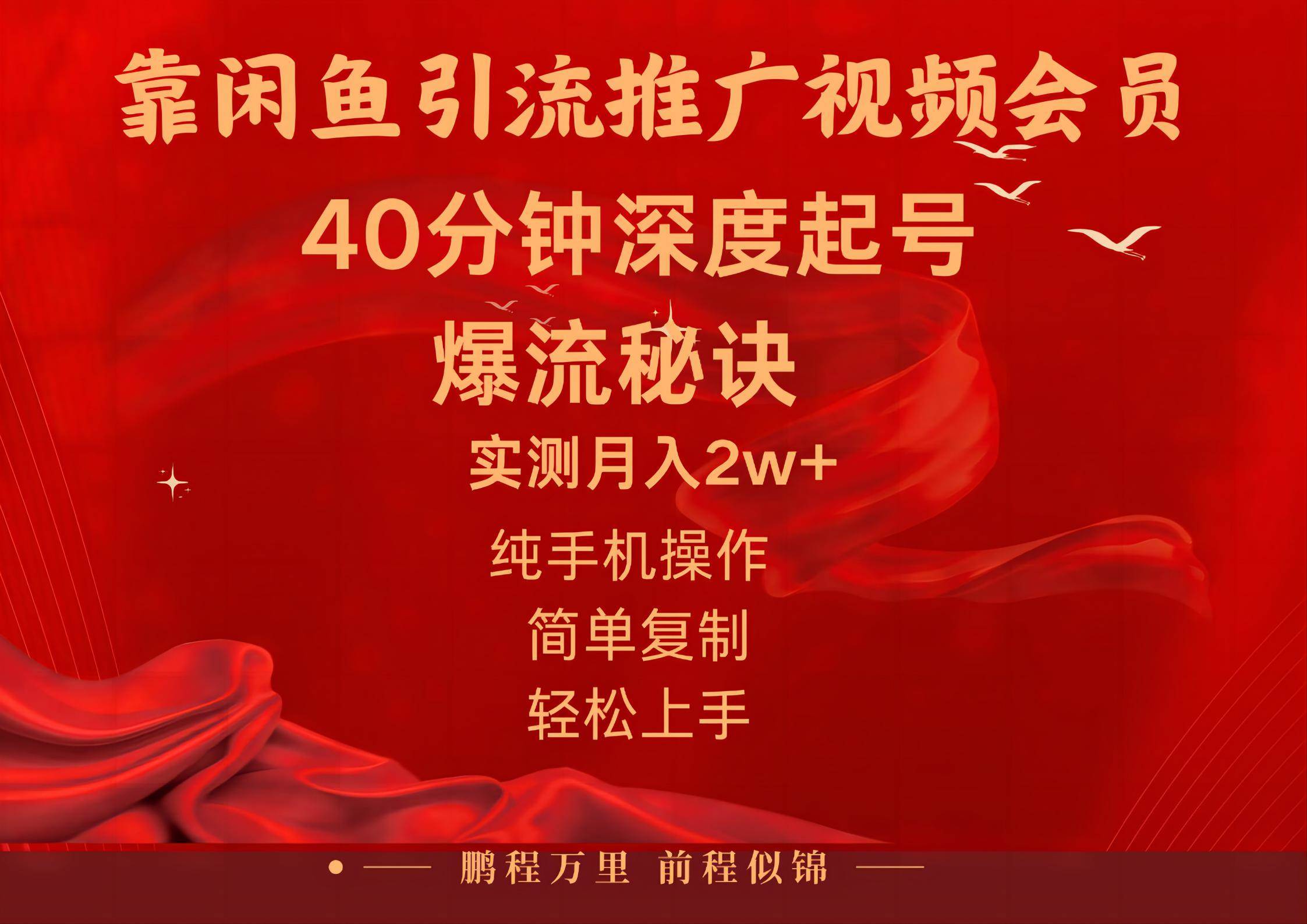 闲鱼暴力引流推广视频会员，能做到日入2W+，操作简单-飞鱼网创