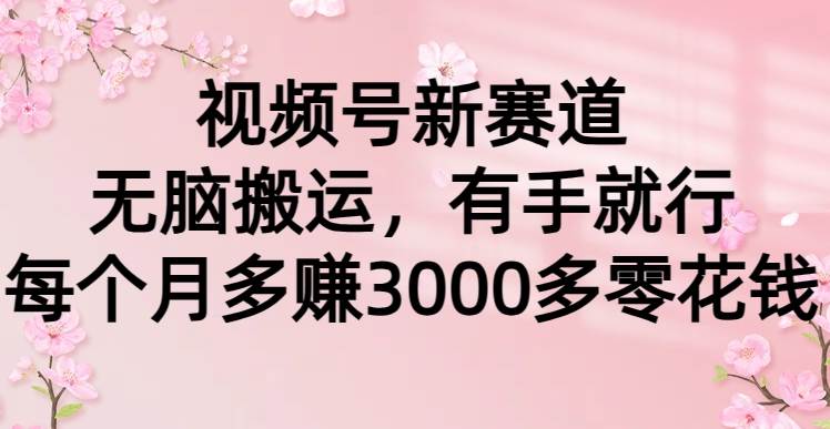 视频号新赛道，无脑搬运，有手就行，每个月多赚3000多零花钱-飞鱼网创