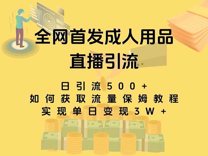 最新全网独创首发，成人用品直播引流获客暴力玩法，单日变现3w保姆级教程-飞鱼网创