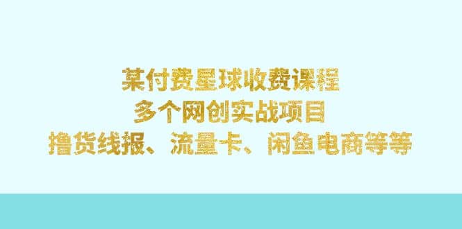 某付费星球课程：多个网创实战项目，撸货线报、流量卡、闲鱼电商等等-飞鱼网创