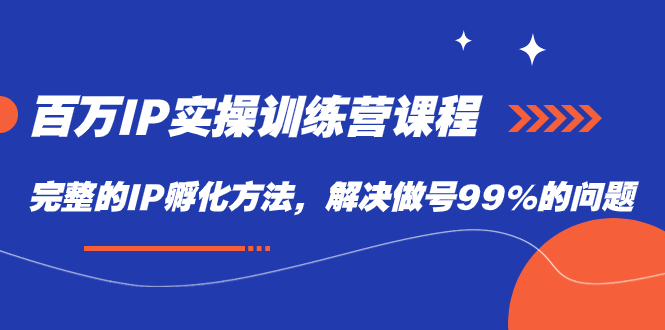 百万IP实战训练营课程，完整的IP孵化方法，解决做号99%的问题-飞鱼网创