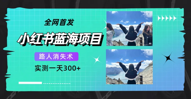 全网首发，小红书蓝海项目，路人消失术，实测一天300+（教程+工具）-飞鱼网创