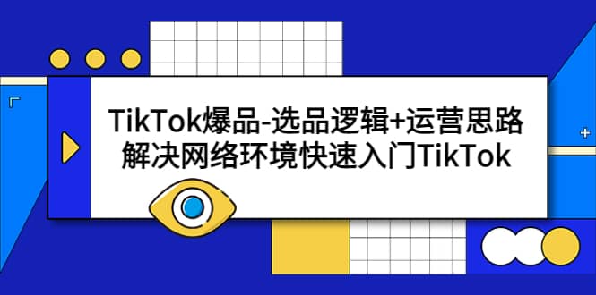 TikTok爆品-选品逻辑+运营思路：解决网络环境快速入门TikTok-飞鱼网创