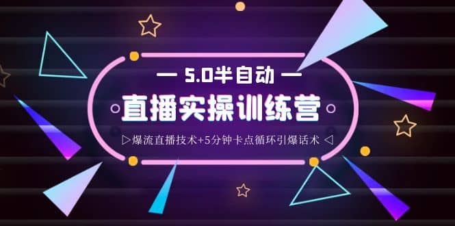 蚂蚁·5.0半自动直播2345打法，半自动爆流直播技术+5分钟卡点循环引爆话术-飞鱼网创