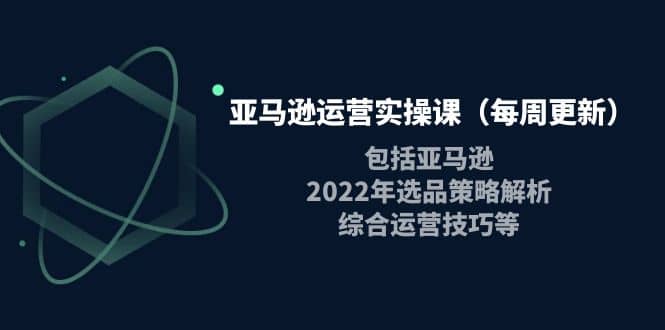 亚马逊运营实操课（每周更新）包括亚马逊2022选品策略解析，综合运营技巧等-飞鱼网创